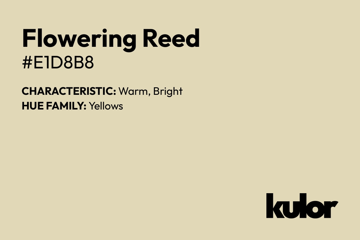 Flowering Reed is a color with a HTML hex code of #e1d8b8.