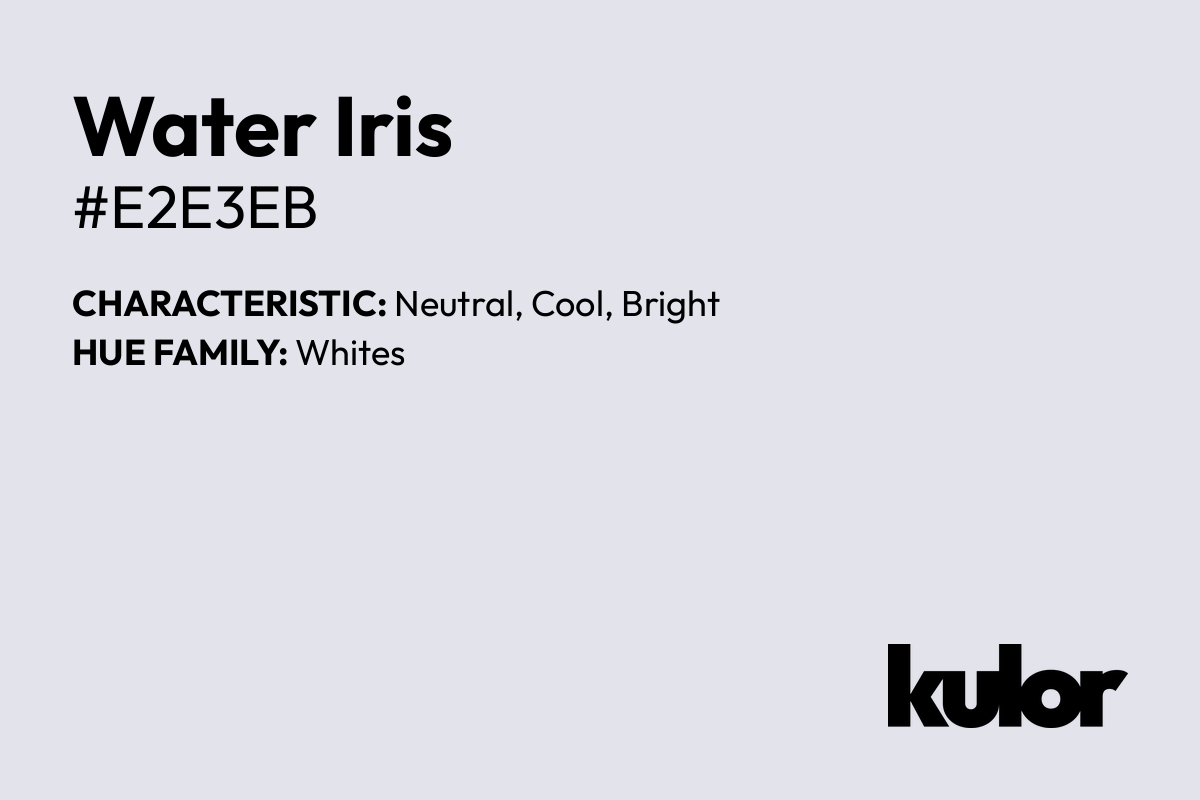 Water Iris is a color with a HTML hex code of #e2e3eb.