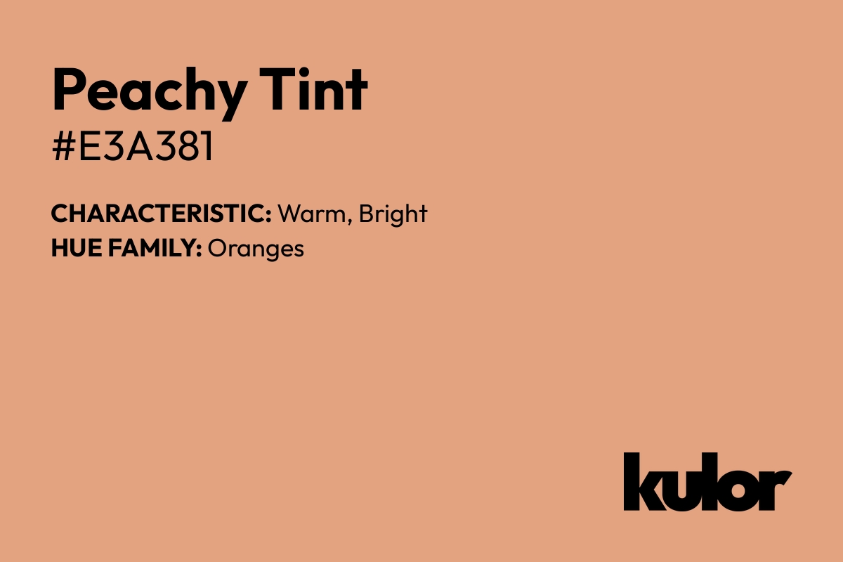 Peachy Tint is a color with a HTML hex code of #e3a381.