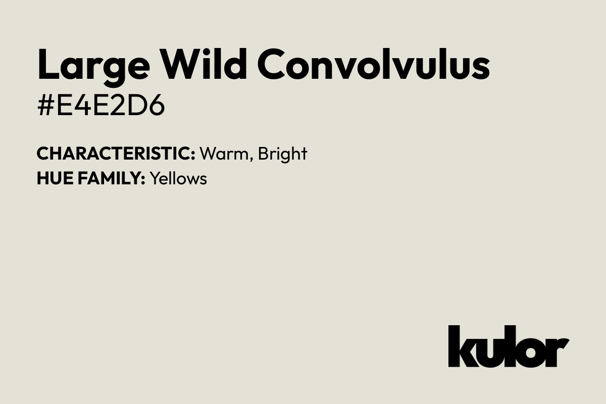 Large Wild Convolvulus is a color with a HTML hex code of #e4e2d6.