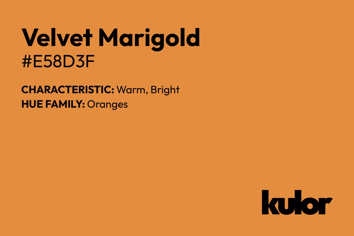 Velvet Marigold is a color with a HTML hex code of #e58d3f.