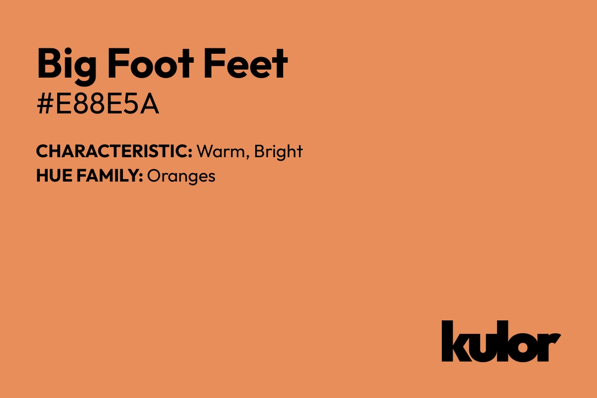 Big Foot Feet is a color with a HTML hex code of #e88e5a.