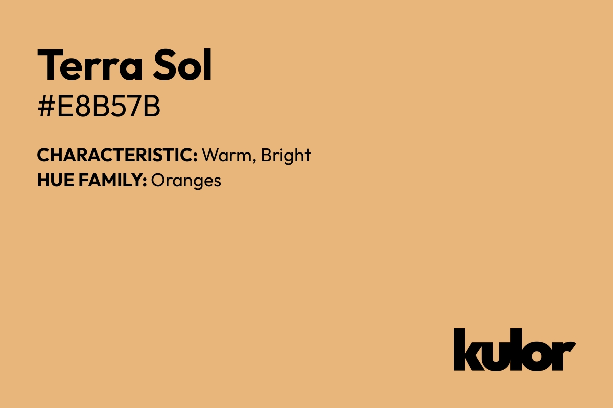 Terra Sol is a color with a HTML hex code of #e8b57b.