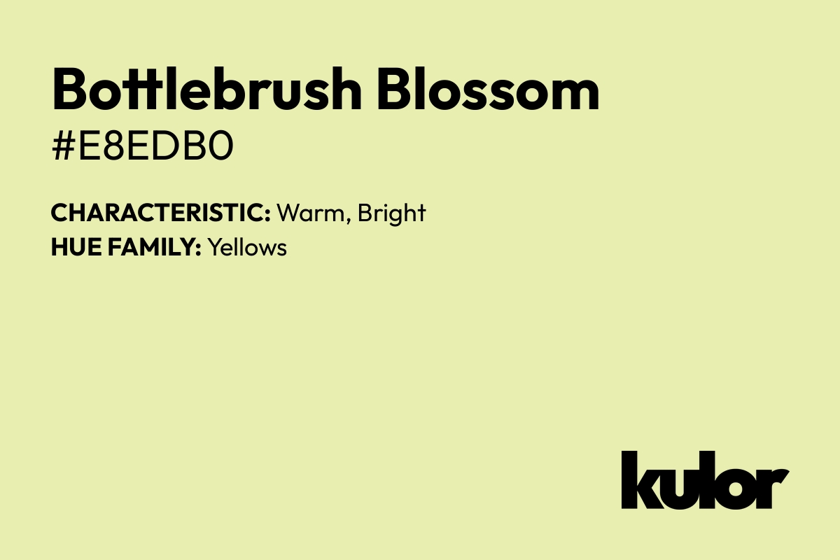 Bottlebrush Blossom is a color with a HTML hex code of #e8edb0.