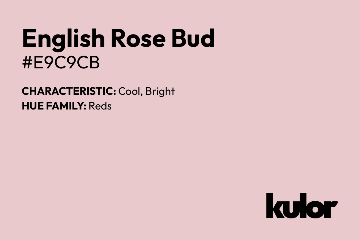 English Rose Bud is a color with a HTML hex code of #e9c9cb.