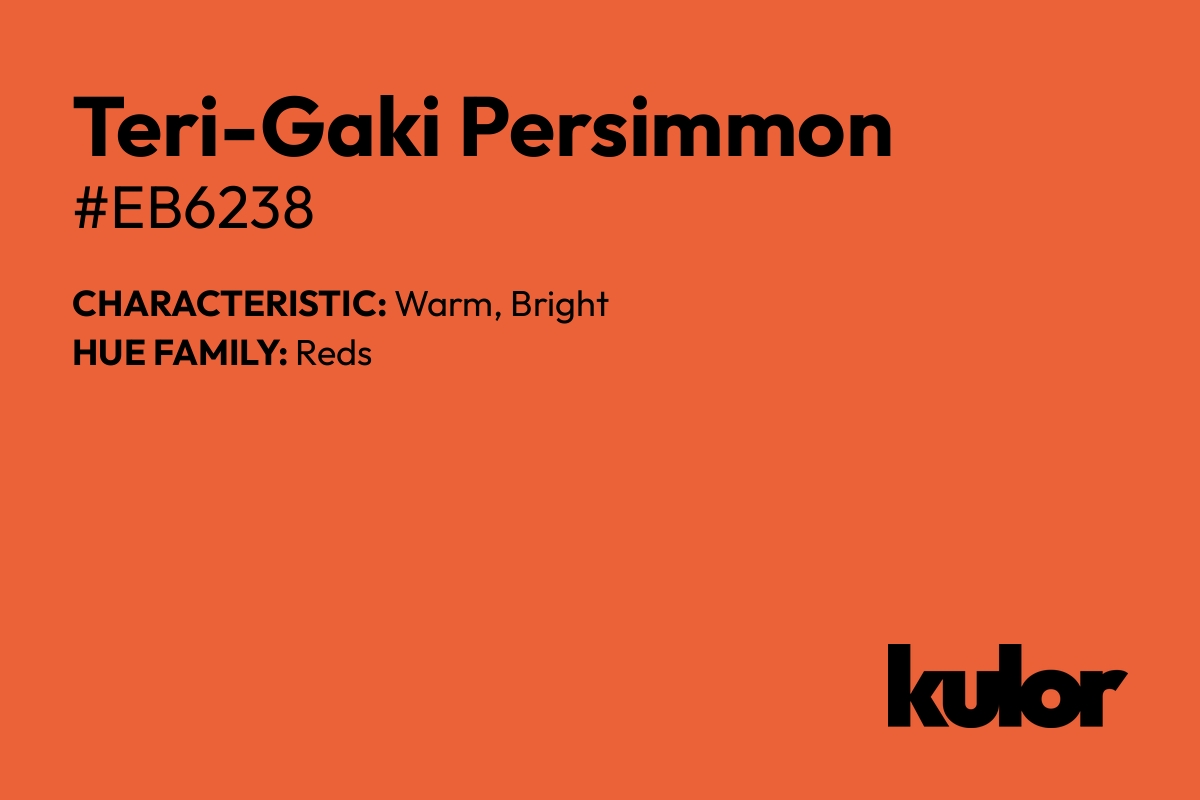 Teri-Gaki Persimmon is a color with a HTML hex code of #eb6238.