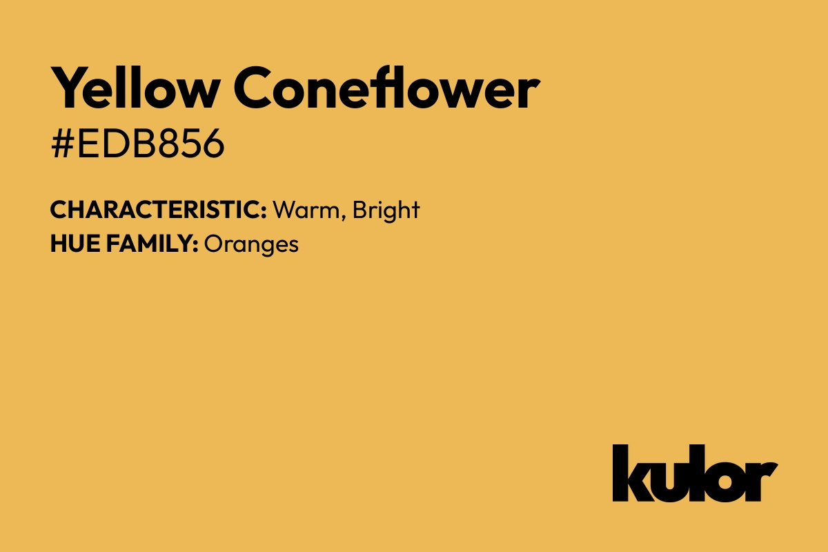 Yellow Coneflower is a color with a HTML hex code of #edb856.