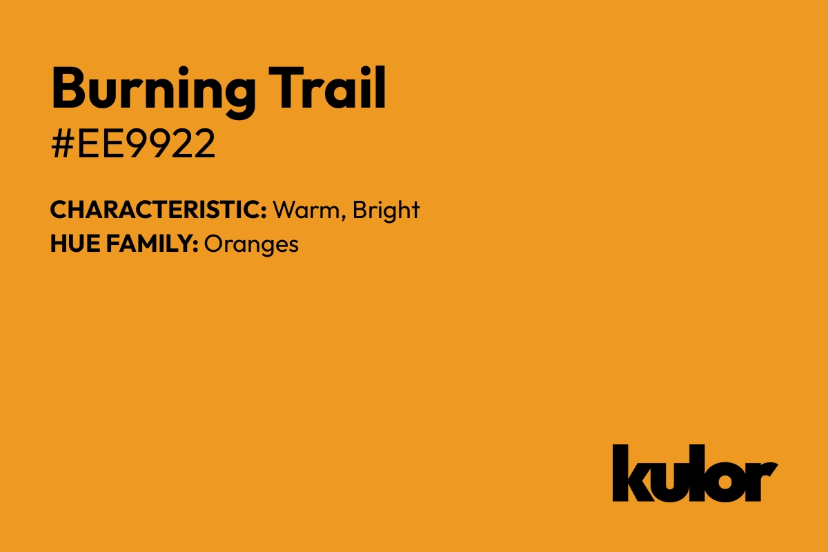 Burning Trail is a color with a HTML hex code of #ee9922.