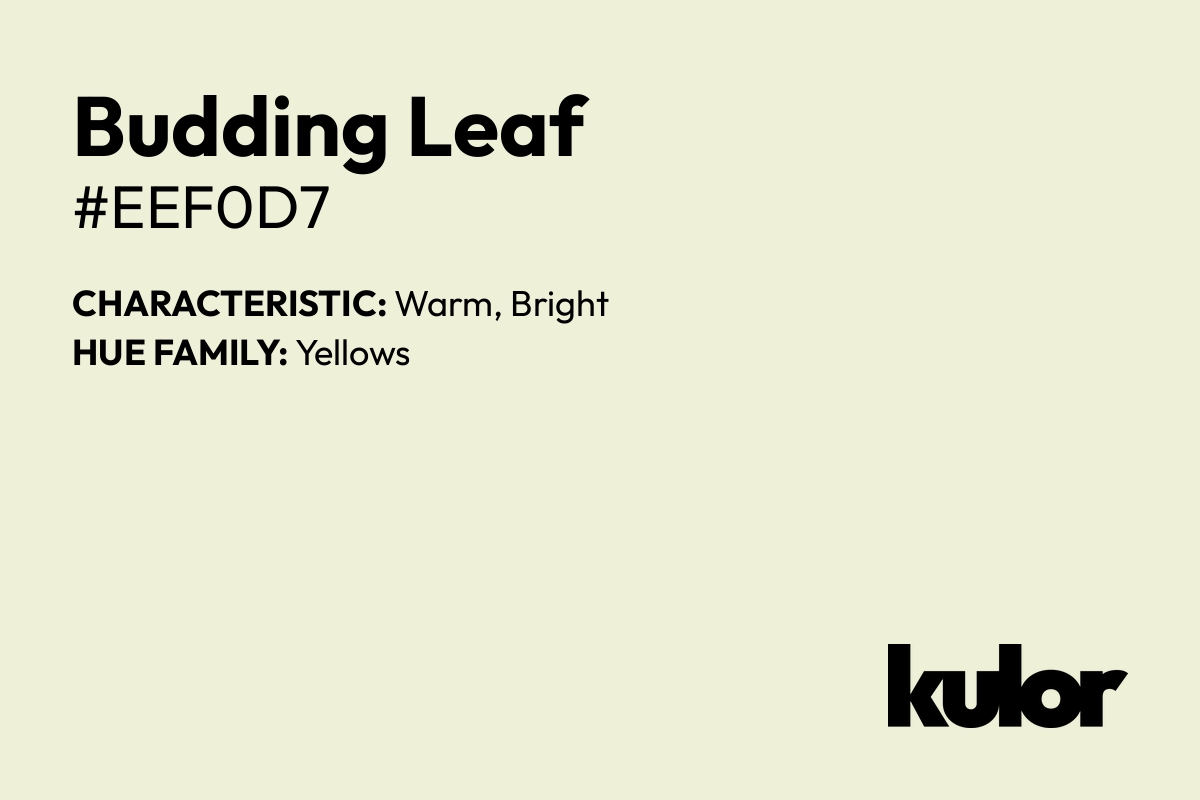 Budding Leaf is a color with a HTML hex code of #eef0d7.