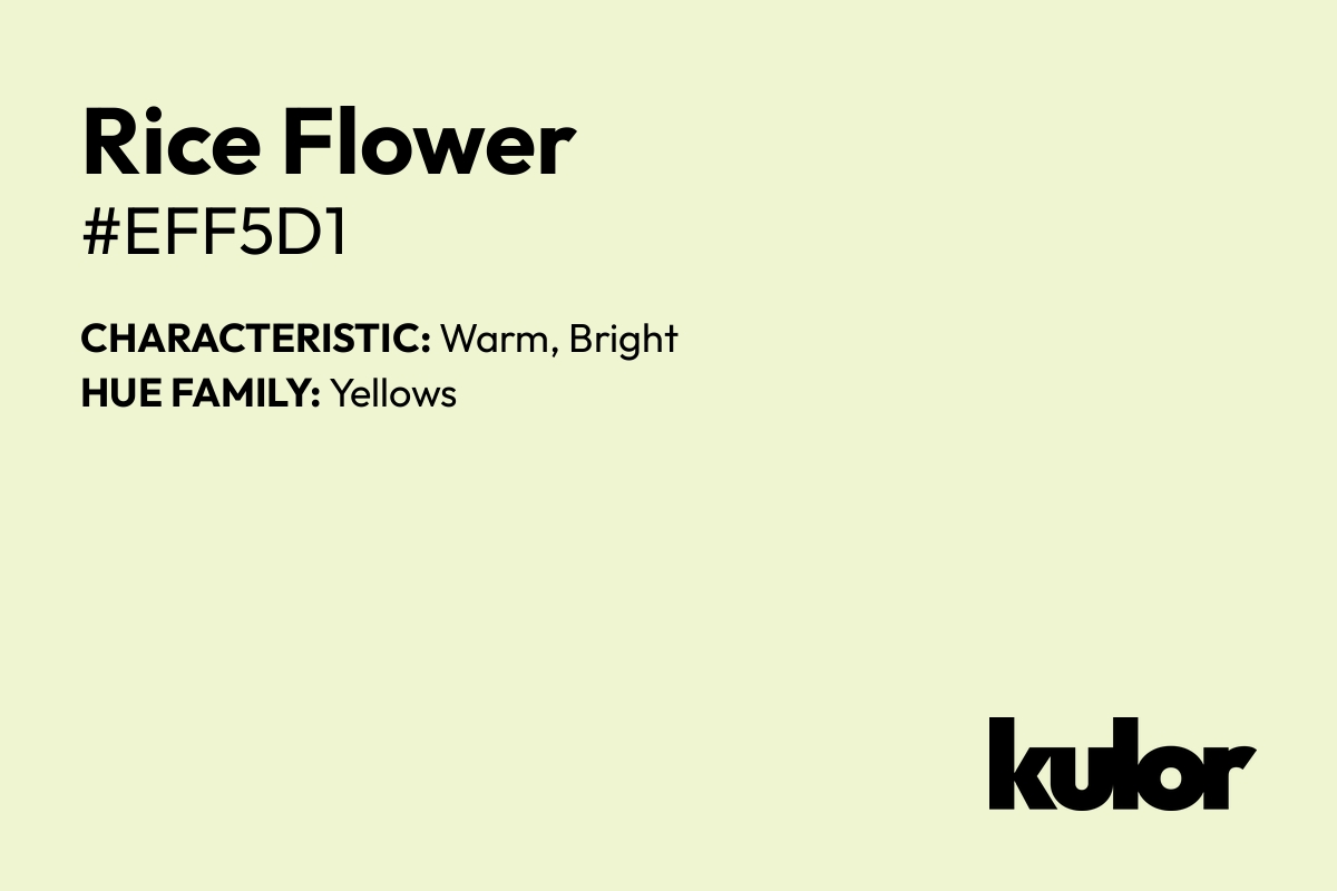 Rice Flower is a color with a HTML hex code of #eff5d1.