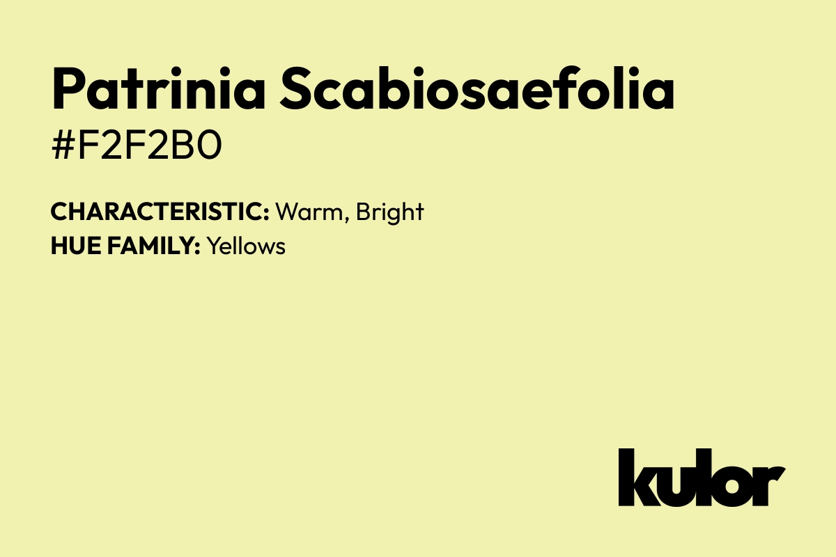 Patrinia Scabiosaefolia is a color with a HTML hex code of #f2f2b0.