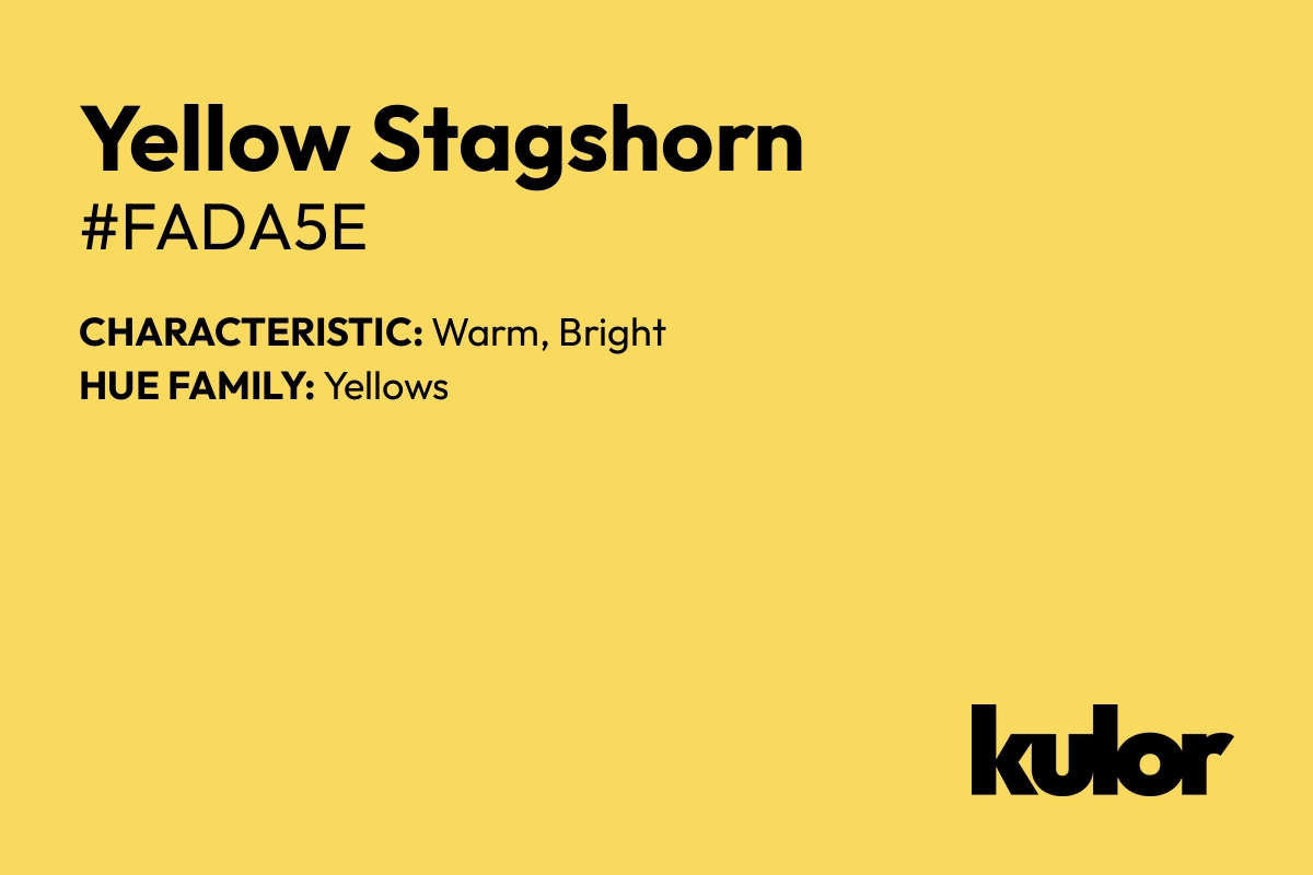 Yellow Stagshorn is a color with a HTML hex code of #fada5e.