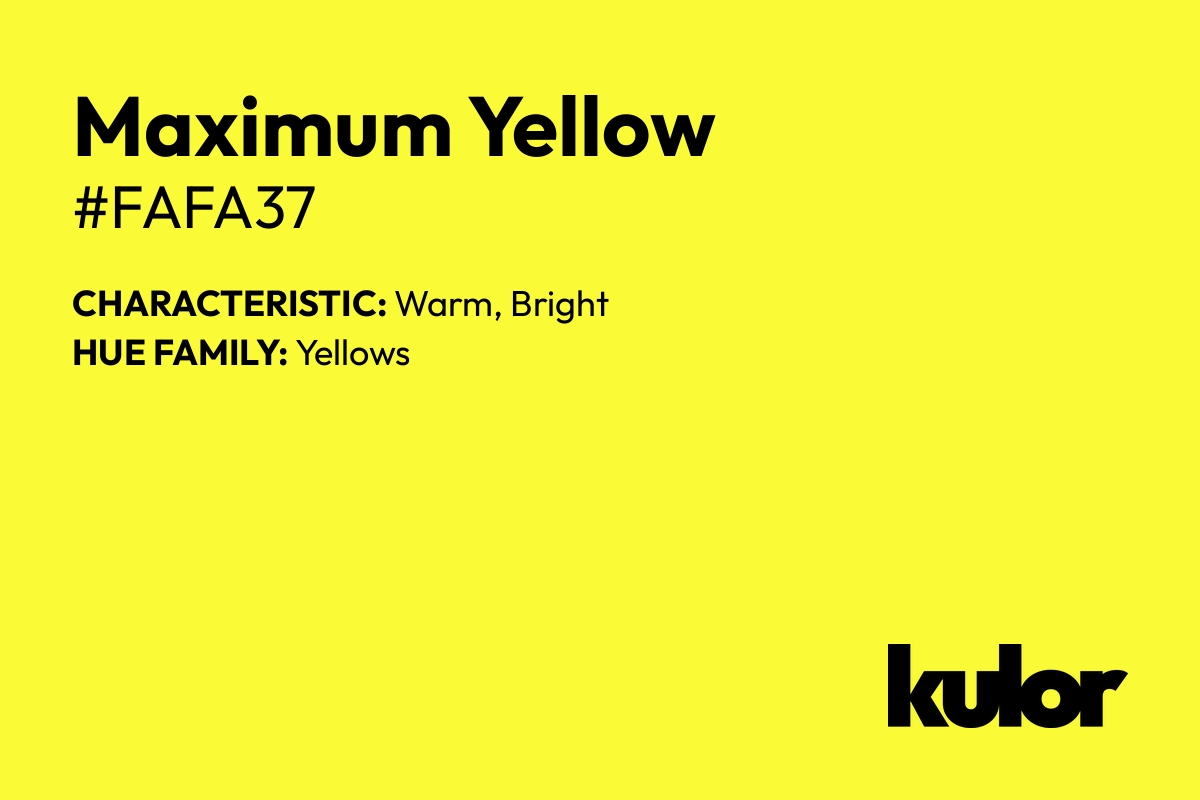 Maximum Yellow is a color with a HTML hex code of #fafa37.