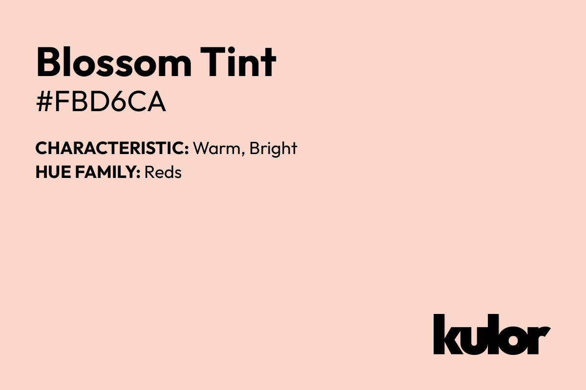 Blossom Tint is a color with a HTML hex code of #fbd6ca.