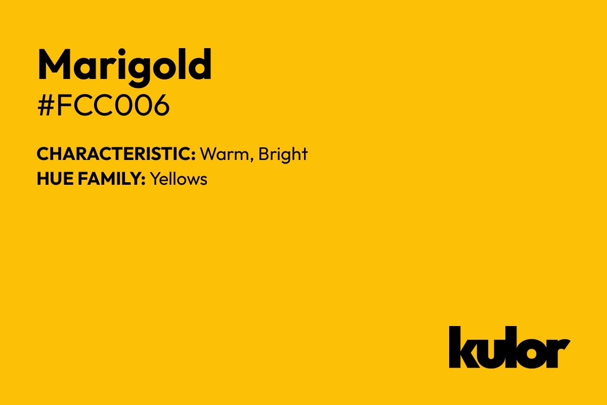 Marigold is a color with a HTML hex code of #fcc006.