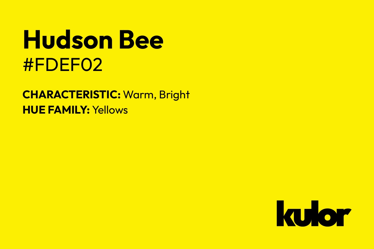 Hudson Bee is a color with a HTML hex code of #fdef02.