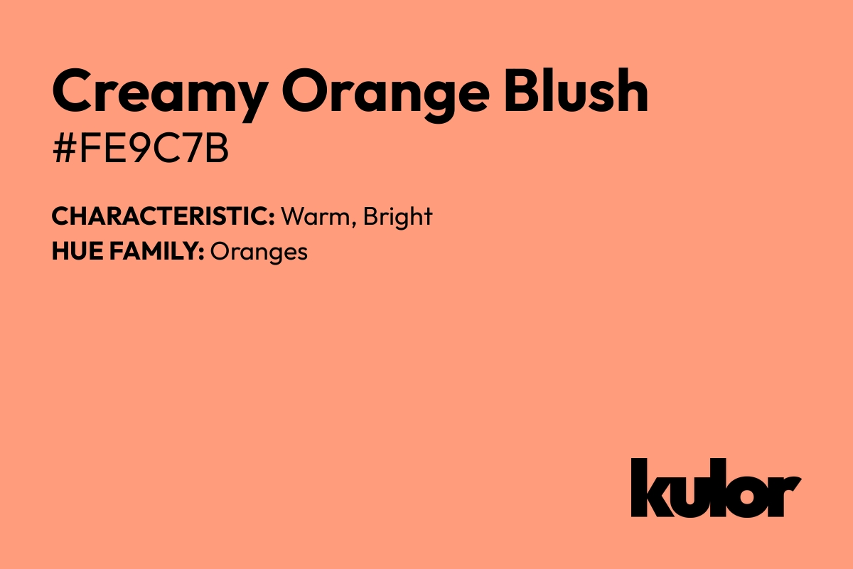 Creamy Orange Blush is a color with a HTML hex code of #fe9c7b.