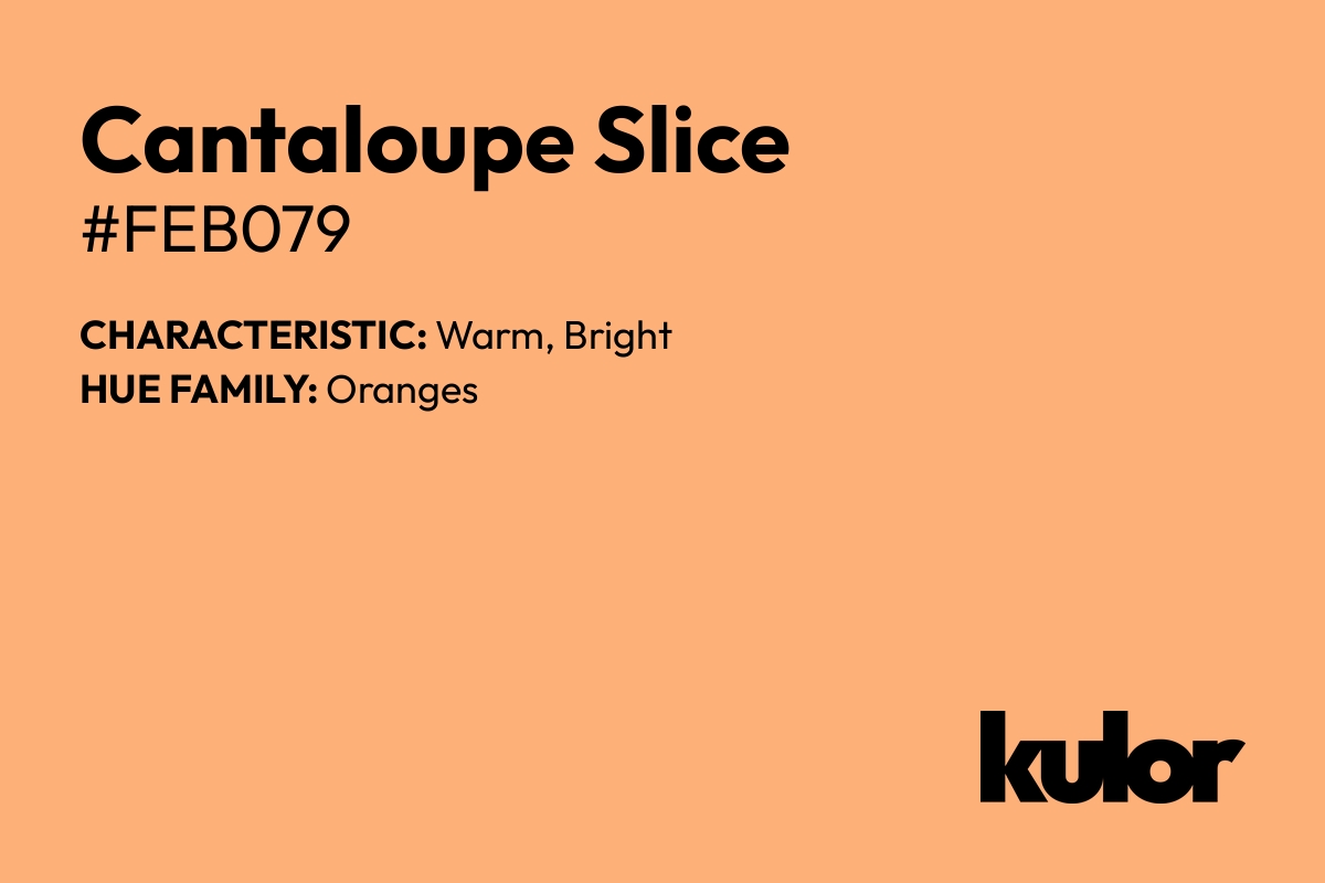 Cantaloupe Slice is a color with a HTML hex code of #feb079.