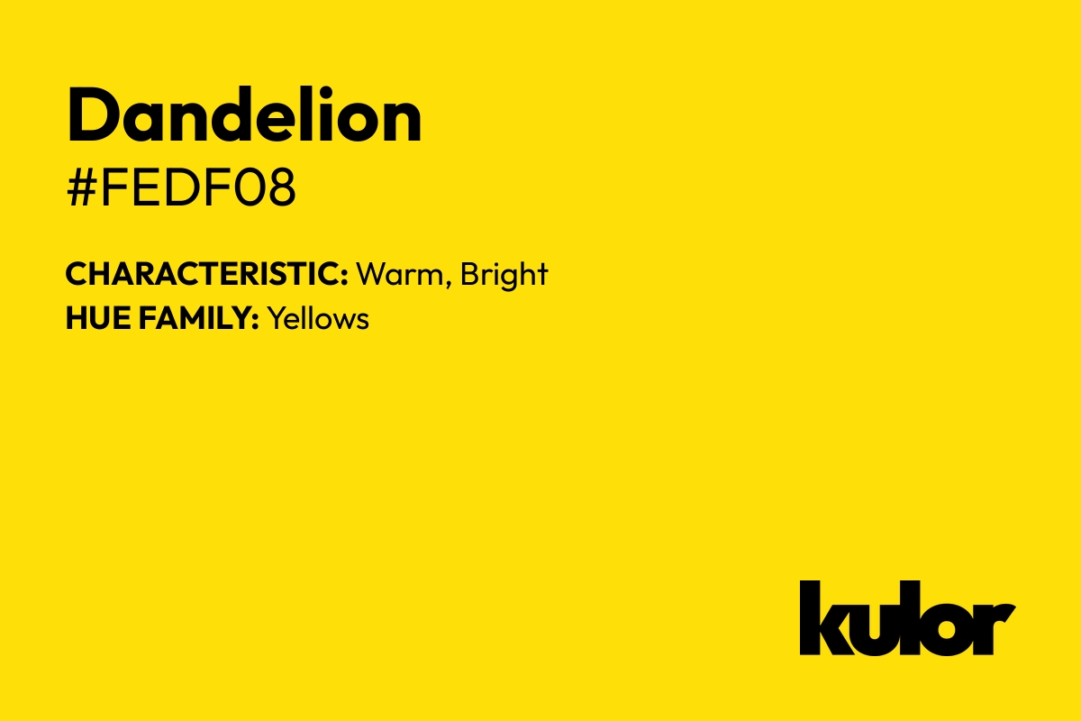 Dandelion is a color with a HTML hex code of #fedf08.