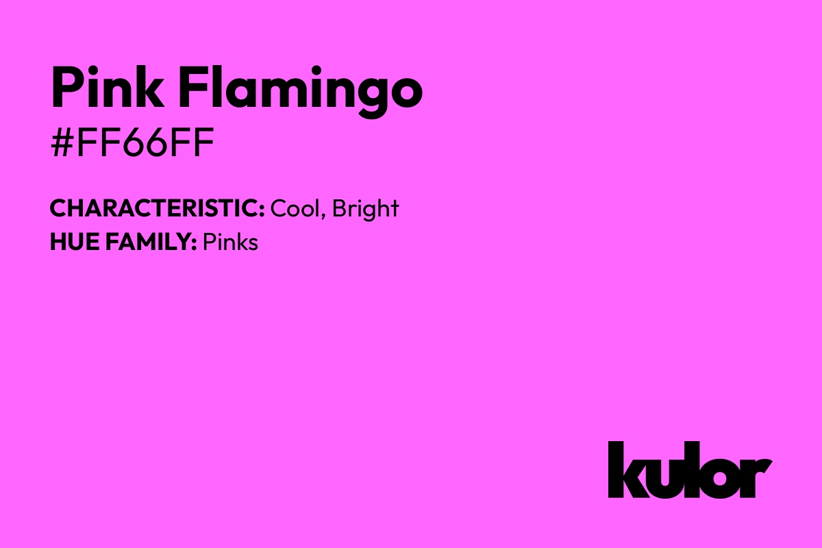 Pink Flamingo is a color with a HTML hex code of #ff66ff.