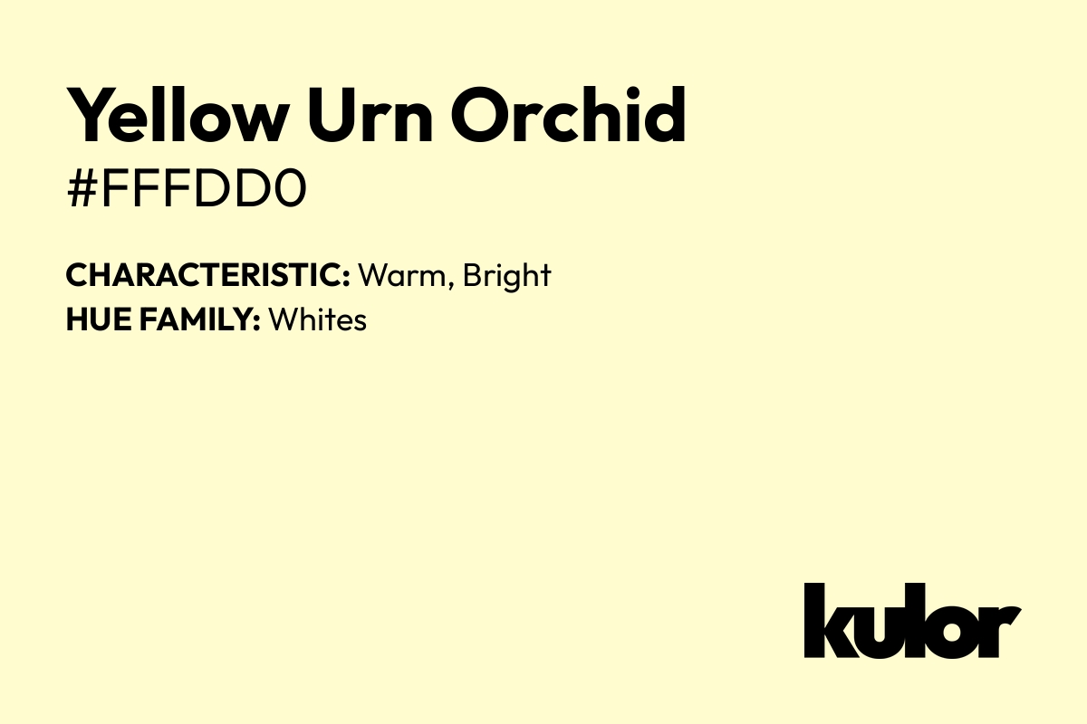 Yellow Urn Orchid is a color with a HTML hex code of #fffdd0.